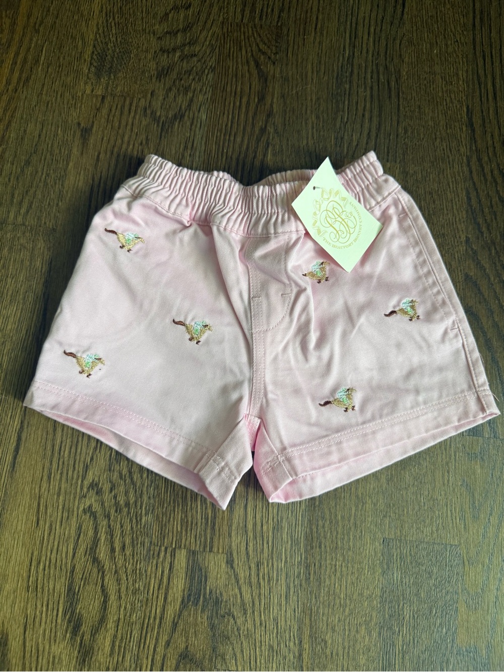The Beaufort Bonnet Company Pink Horse Boys Shorts - Size 3T - NWT